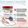 DivyaHerb DivyaHerb Jambu Bij Powder, Natural, 100 g (Pack of