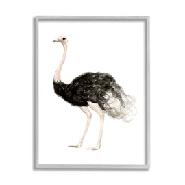 Stupell Industries Ostrich Bird Watercolor Portrait Kids' Nursery Wildlife Animal Grey Framed Wall Art, 11 x 14, Black