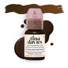 Tina Davies X Perma Blend Brow Pigment Collection, 8 x