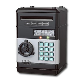 ENN LLC Coin Bank with Dial Lock Security Box (Black)