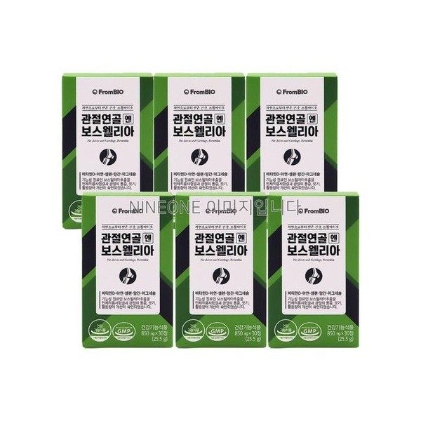From Bio Articular Cartilage Boswellia 30 tablets x 6 bottles