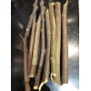 Tree peter honey fig tree cutting for sale