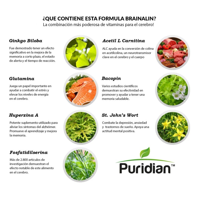 Puridian Brainalin Nootrópico Natural Para Memoria Y Enfoque