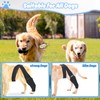 Dog Knee Brace for Torn Hind Leg or Back Leg,