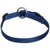 Nobby Dog Collar Classic