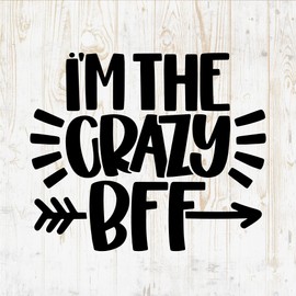 Friendship Quote Decals Sticker - Vinyl Decal for Wall Bottle Phone Car Home Bike Laptop Silhouette -Funny Quotes for Friends DWSV4476