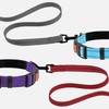CollarDirect Nylon Dog Leash 5ft for Daily Outdoor Walking Running