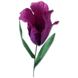 Sizzix Thinlits Flower Making Collection Die Set 5PK, Fringed Tulip, one Size