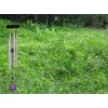 Woodstock Windspiel Chakra Chime, Silber, 46,9 cm