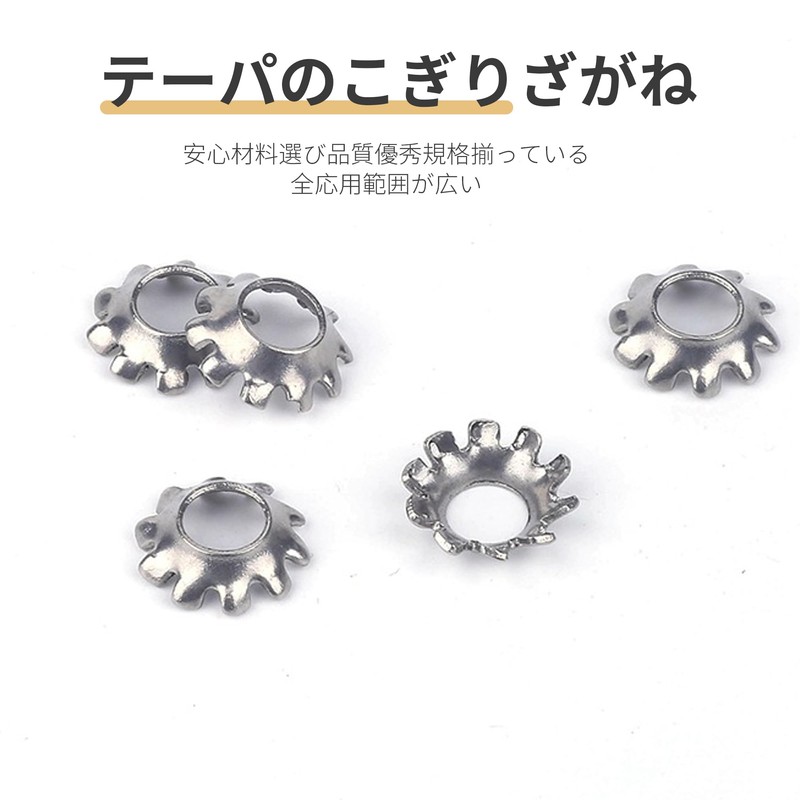 REYLNXR Cone Seriflock Washer, 304 Stainless Steel, Shedding Prevention, Electrostatic