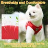 Dog Harness and Lead Set, Soft Mesh Padded Harness, Air