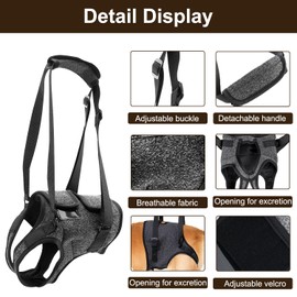 Infreecs Dog Lifting Harness for Back Legs, Dog Support Harness Slings for Large Medium Small, Adjustable Dogs Brace for Hind Leg, Support Strap for Injured Disabled Elderly Dogs Walking Aid, M