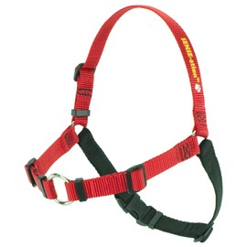 Softouch Sense-ation No-Pull Dog Harness (Red, Medium)