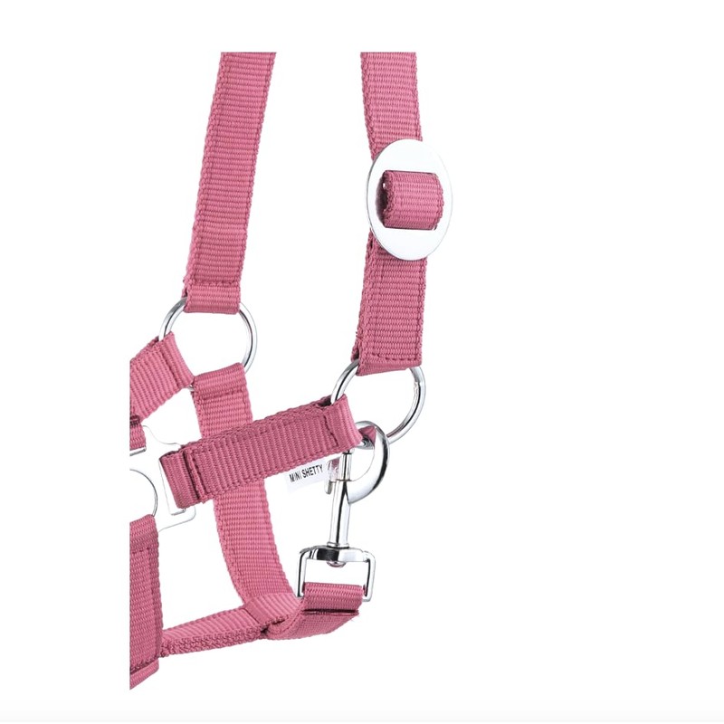 Halter Lead Rope Set with Snap Hook Adjustable Horse Halter