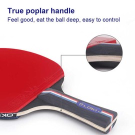 LOKI Table Tennis Bat Set with Net and 3-Star Balls - Premium Table Tennis Bat with ITTF Approval - Extendable Net - Carry Bag