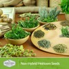 Medicinal Herb Collection - 18 Medicinal Herbs