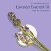 L'Occitane Jabon Espumoso de Lavanda 500ml