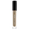L'Oreal Unbelievabrow 102 Cool Blonde