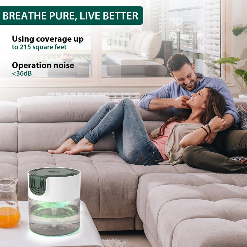 Oxyvana Water Air Purifiers for Home, Quiet Variable Speed Water