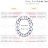 Caja de dientes, Caja de recuerdo para dientes perdidos para
