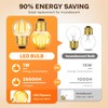 SCNNC G40 1W Low Wattage Light Bulbs Equivalent to 20
