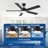Rayqueen 52 Inch Ceiling Fans with Lights and Remote, Black