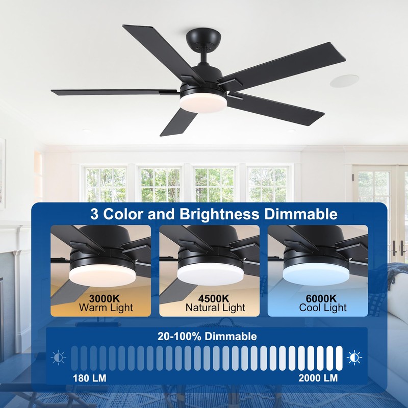 Rayqueen 52 Inch Ceiling Fans with Lights and Remote, Black