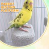 4 Pack Bird Beak Grinding Calcium Stone, Parrot Cage Perch