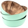 Decorasian Bowls made of real coconut, coconut bowl, polished inside,