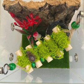 Okueejur Jumping Spider Rope Bridge,A Solid Wood Climbing Suspension Bridge, Jumping Spider Enclosure Accessory, Handmade Spider Jumping Platform, Decorative Accessory for Small Reptile Enclosures