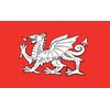 England White Dragon Flag 5ft x 3ft