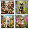 Chihuahua Coaster Set. 4 different Chihuahua Dog Pictures on 10cm