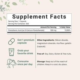 proxy MicroIngredients Pantothenic Acid Vitamin B5 500mg 365 Tablets / 마이크로인그리디언츠 판토텐산 비타민B5 500mg 365정