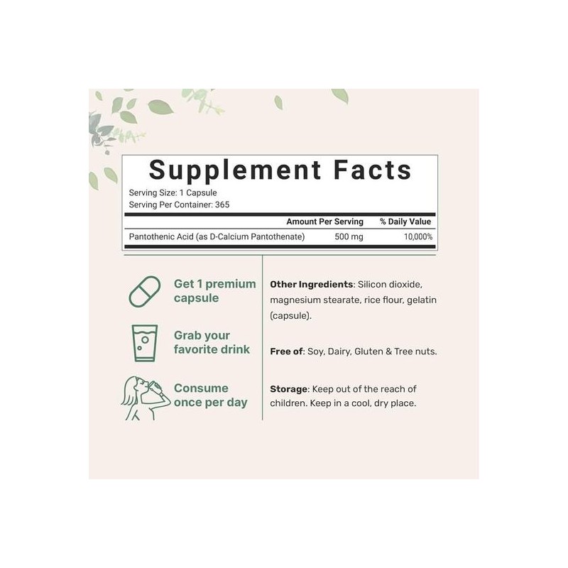 proxy MicroIngredients Pantothenic Acid Vitamin B5 500mg 365 Tablets /