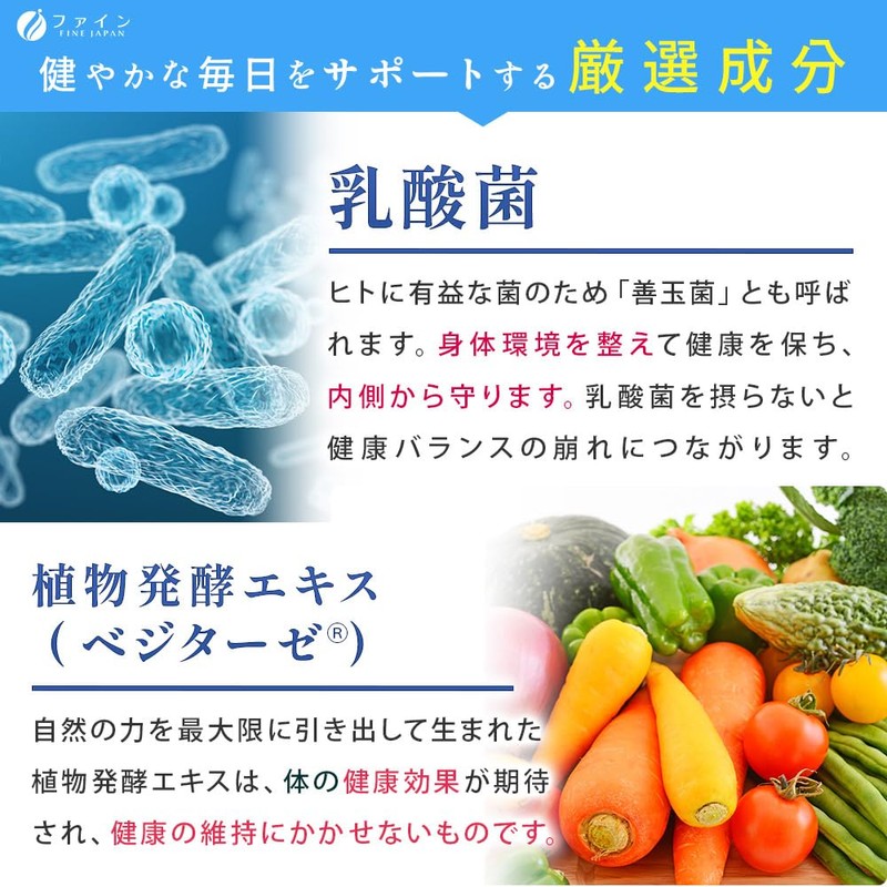 Fine Japan 1 Trillion Lactic Acid Bacteria Prime Lactic Acid