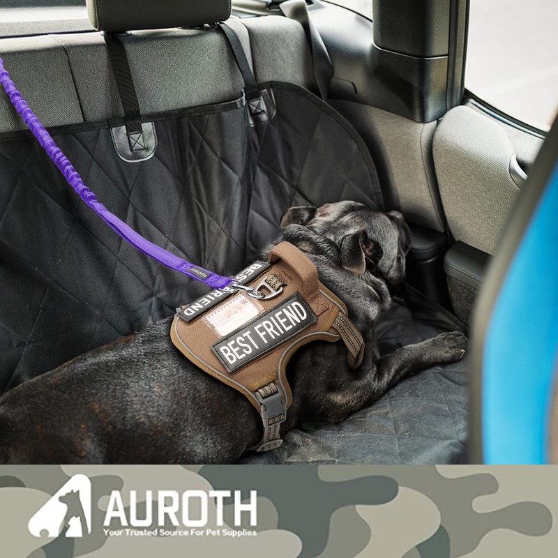 AUROTH Heavy Duty Bungee Dog Leash for Medium Large Breed
