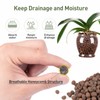 GASPRO 5lb Organic Clay Pebbles for Plants, 100% Natural Leca