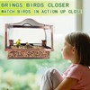 Window Bird Feeder, Metal Window Bird Feeder with Strong Suction