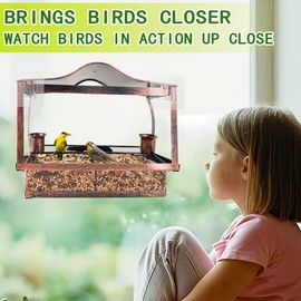 Window Bird Feeder, Metal Window Bird Feeder with Strong Suction Cups, Bird Feeders for Small Birds, Removable Tray with 2 Water Cups, Easy Clean and Fill