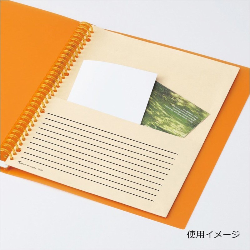 Maruman L482 A5 Bamboo Paper Pocket Leaf, 2 Pieces, 20