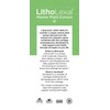 LithoLexal Joint Health 60 Tablets (1 Month Supply)