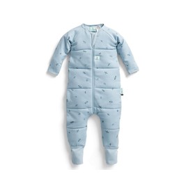ergoPouch 2.5 TOG Sleeping Bag – Breathable, Cozy Sleepwear for Boys and Girls (12-24 Months, Dragonflies)
