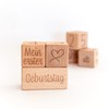 Mikito Baby Milestone Blocks in German, 6-Piece Set Blocks and