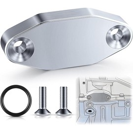 Saillong 1 Pack LS Billet Oil Cooler Block off Plate on Oil Pan LS Billet Oil Port Plate Compatible with Gen III IV Series Engines LS3 LSX LS1 LS2 LS6 L9H LQ4 LQ9 L92 4.8L 5.3L 5.7L 6.0L 6.2L (Silver)