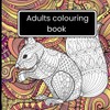 Adults colouring book: A Therapeutic Coloring Experience for Adults
