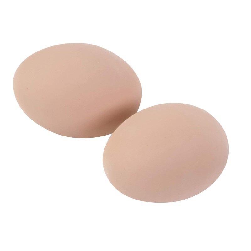 Little Giant® Large Egg Basket Kit | Chicken Egg Basket