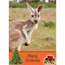 Kangaroo Christmas Card 'Merry Christmas' - Special Xmas Card for Him Her Kids Male Female