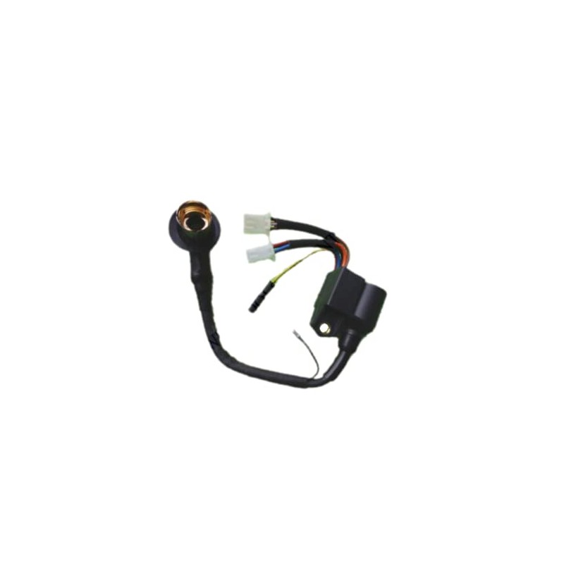 IGCLINIC Bobina de encendido para Pulsar PG2000iS iPower A-iPower SUA2000i