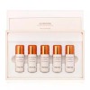 Dr. Jart+ [리엔케이]리엔케이 셀 브라이트닝 익스트림 파우더 앰플 4g x 5 [RNK] RNK Cell Brightening Extreme Powder Ampoule 4g x 5 [Single item / Single piece]