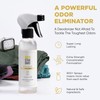 Natural Shoe Deodorizer Spray & Odor Eliminator - 1 Pack